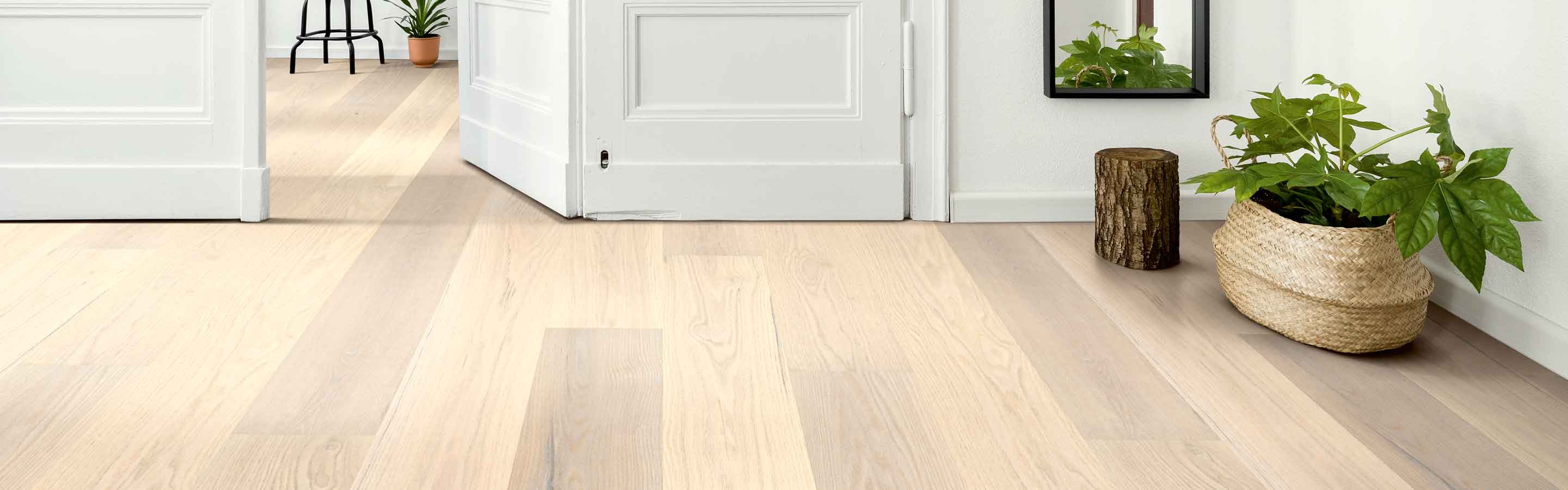 Light hardwood entryway with plant and coat rack